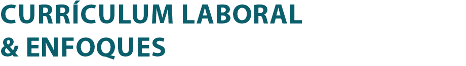 CURRÍCULUM LABORAL & ENFOQUES